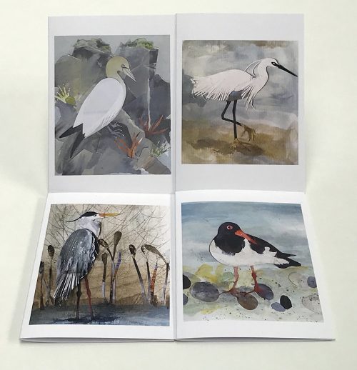 Coastal Birds - Set of 4 greetings cards