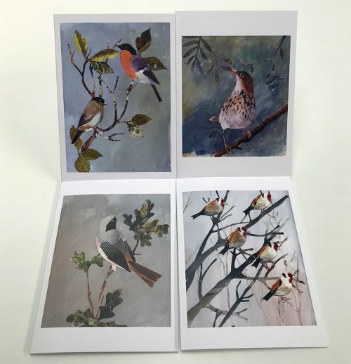 Garden and Woodland Birds - Set of 4 greetings cards