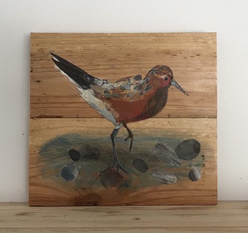 Knot in its' Summer Colours