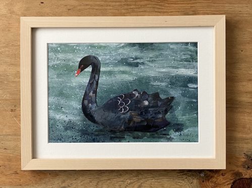 Black Swan
