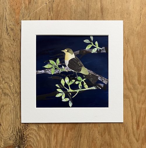 Chiffchaff