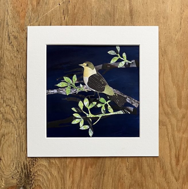 Chiffchaff