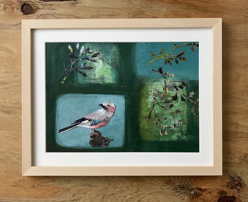 Jay in the Woods
