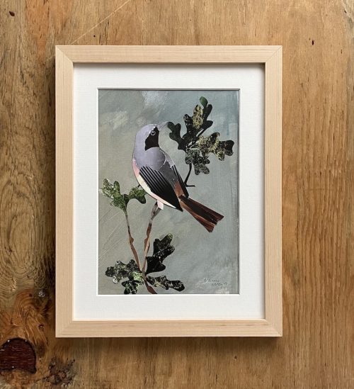 Redstart