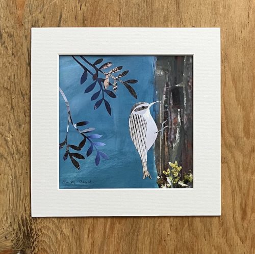 Treecreeper