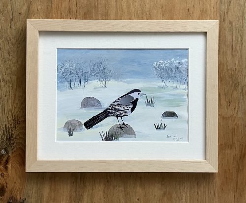 Pied Wagtail in the Snow